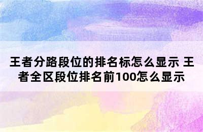 王者分路段位的排名标怎么显示 王者全区段位排名前100怎么显示